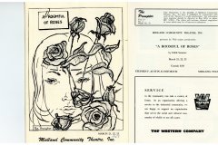 A-Roomful-of-Roses