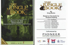 The-Jungle-Book