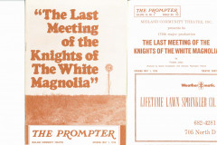The-Last-Meeting-of-the-Knights-of-the-White-Magnolia