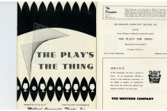 The-Plays-the-Thing