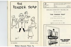 The-Tender-Trap